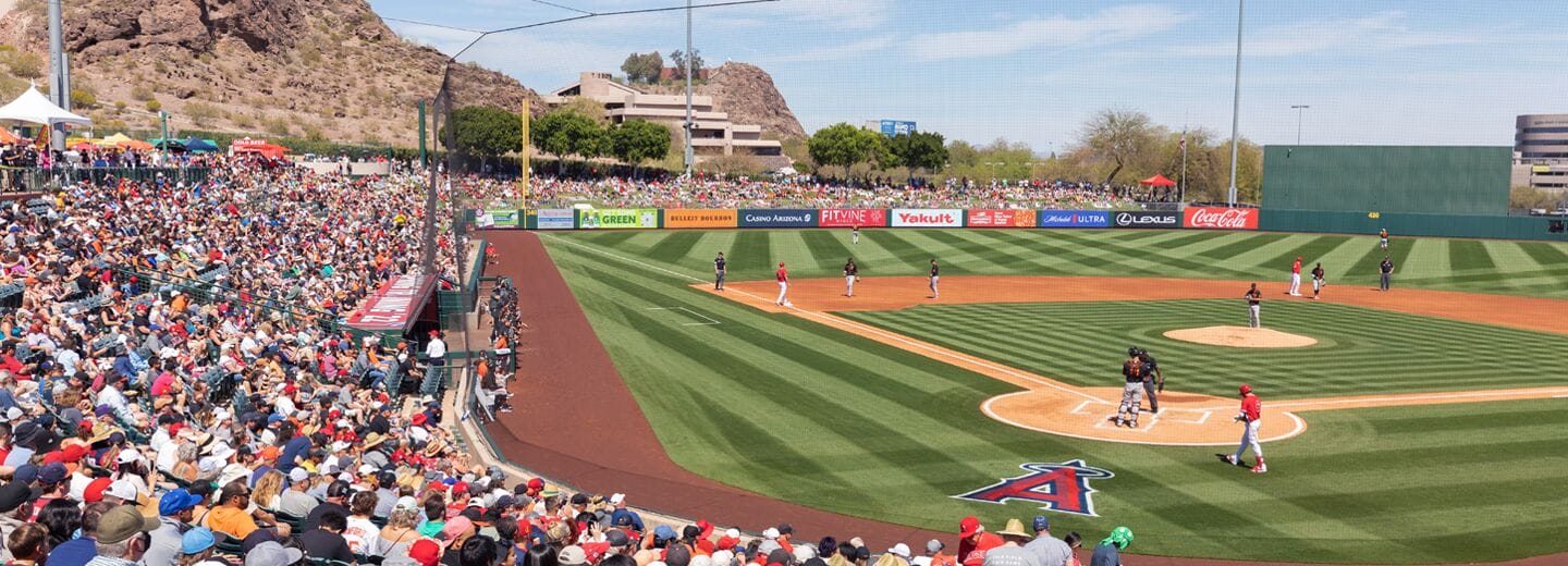 Cactus League photo